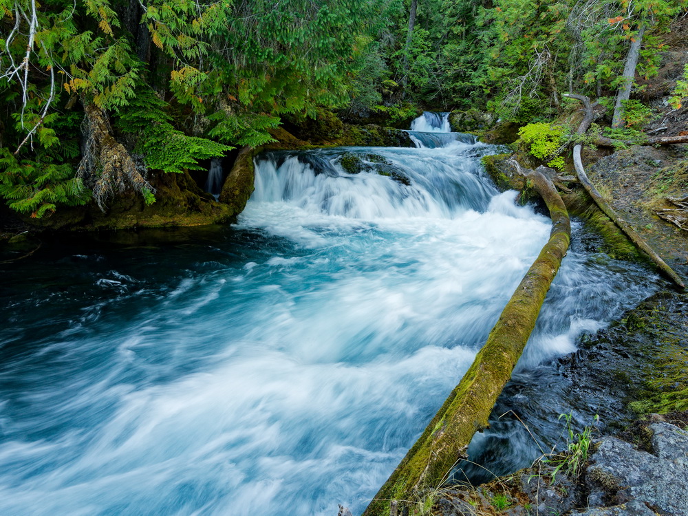 Above: Small cascades on the McKenzie river above Sahalie Falls