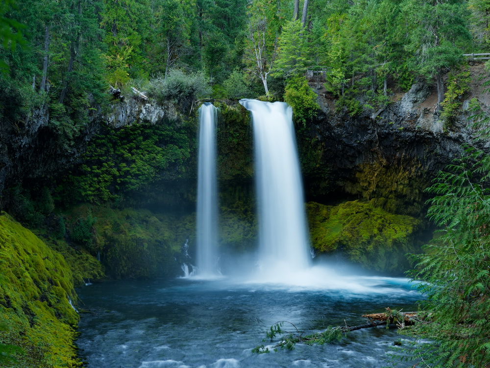 Above: Koosah Falls
