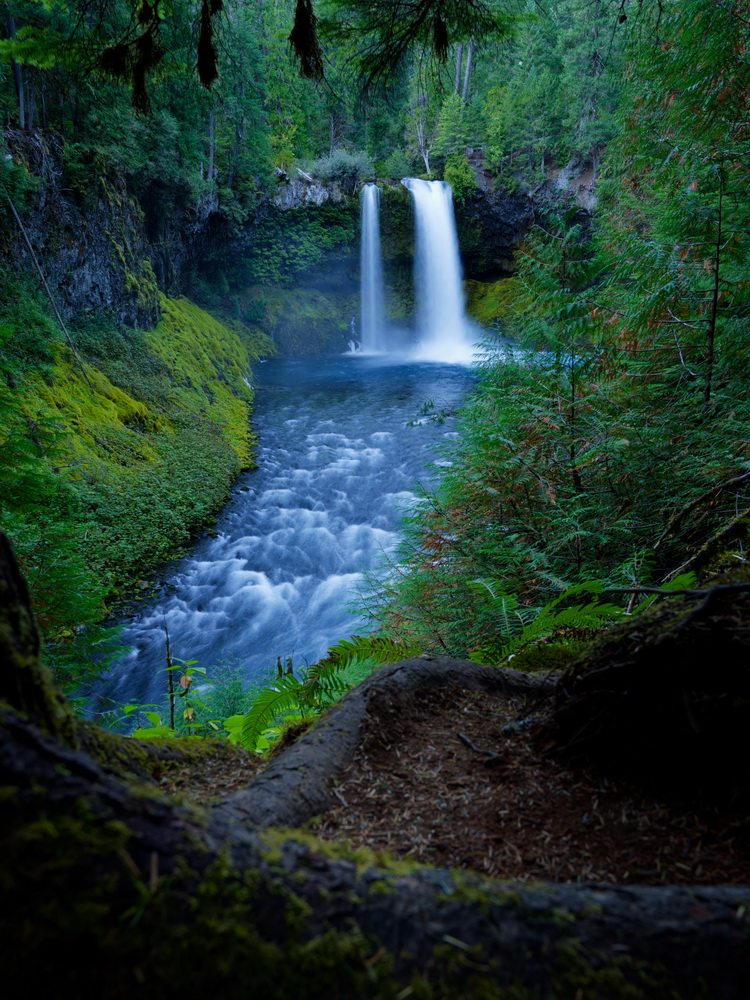 Above: Koosah Falls