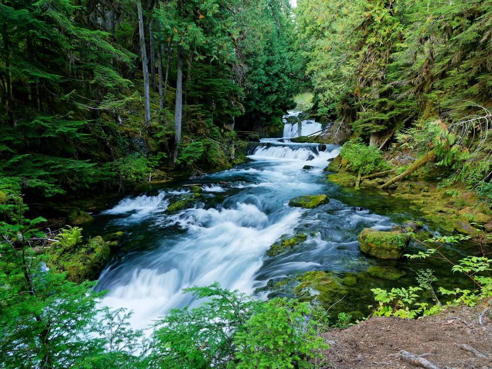 Above: McKenzie River