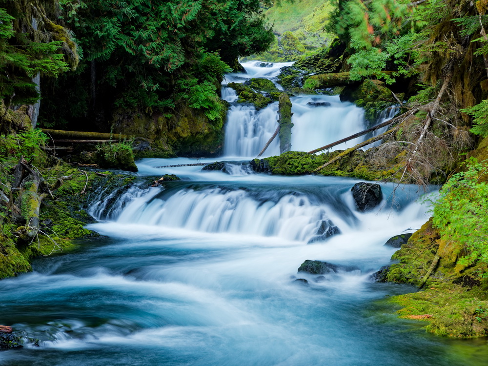 Above: Smaller 5-10’ Cascades on the McKenzie.