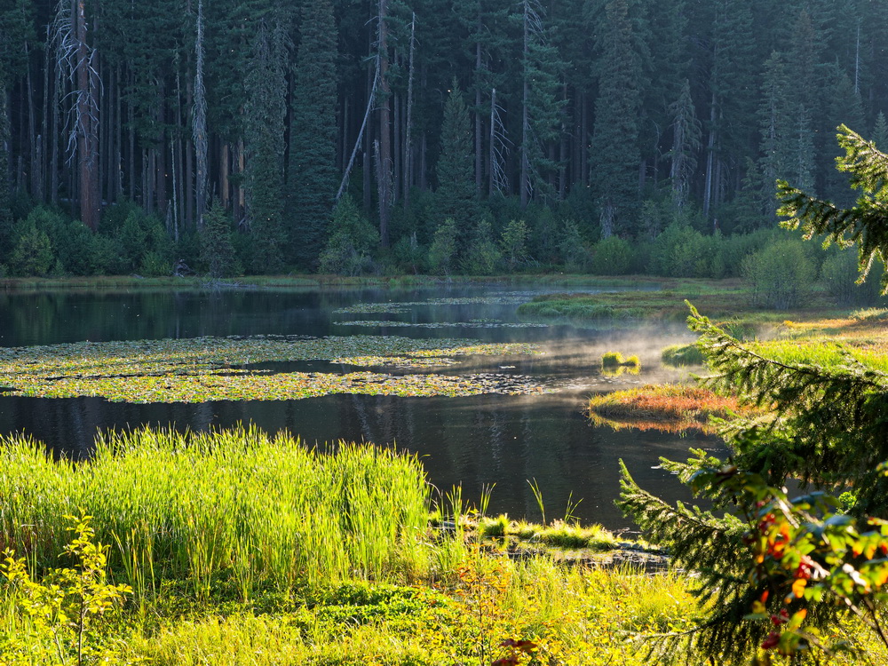 Above: Ann Lake