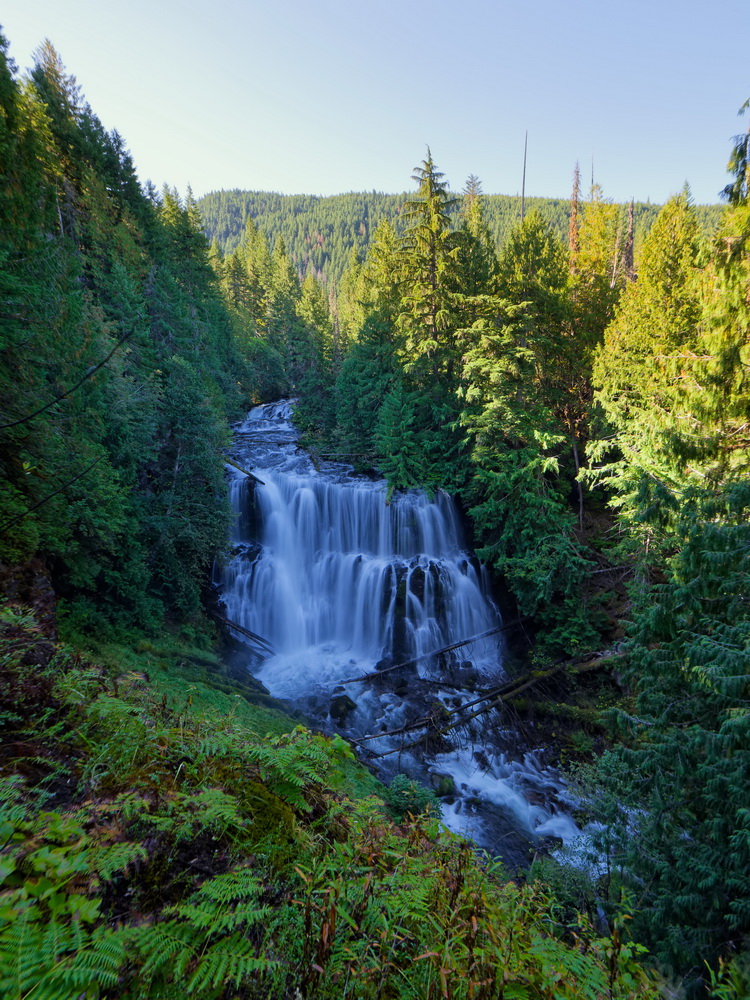 Above: Wide shot of Gooch Falls and surrounding forest.