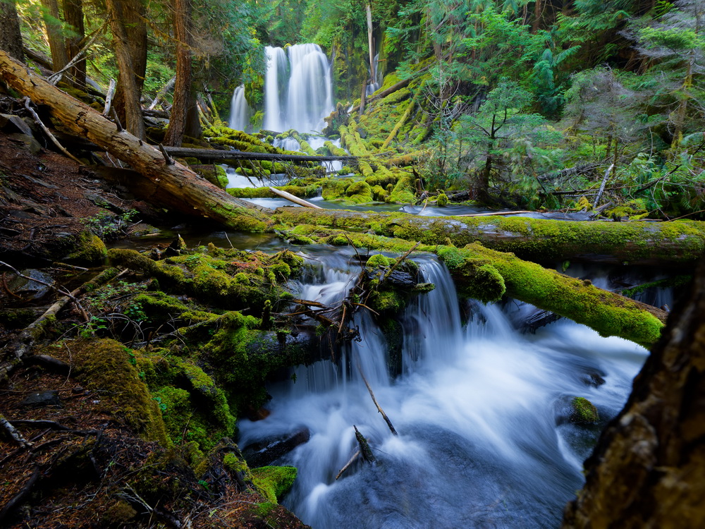 Above: Wider view of Downing Creek Falls