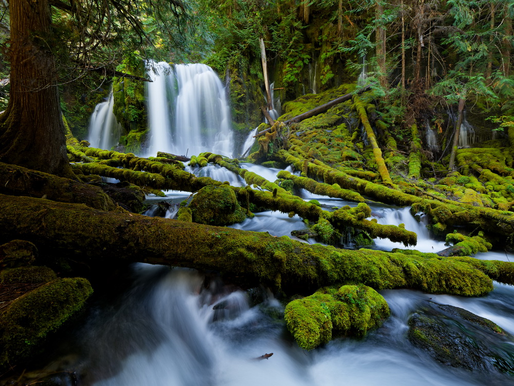 Above: Downing Creek Falls