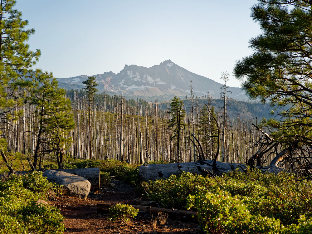 Above: SLooking back towards Broken Top on the return from Chush Falls