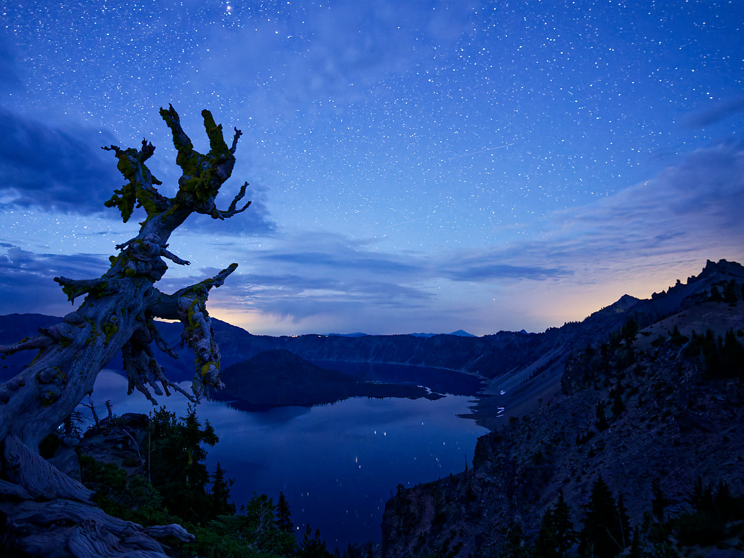 Above: The Whitebark Pine just after sunrise