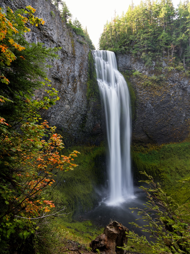 Above: Salt Creek Falls