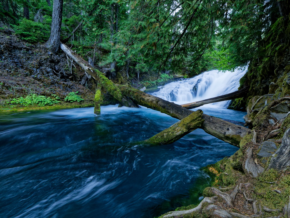 Above: An unnamed cascade along the McKenzie River