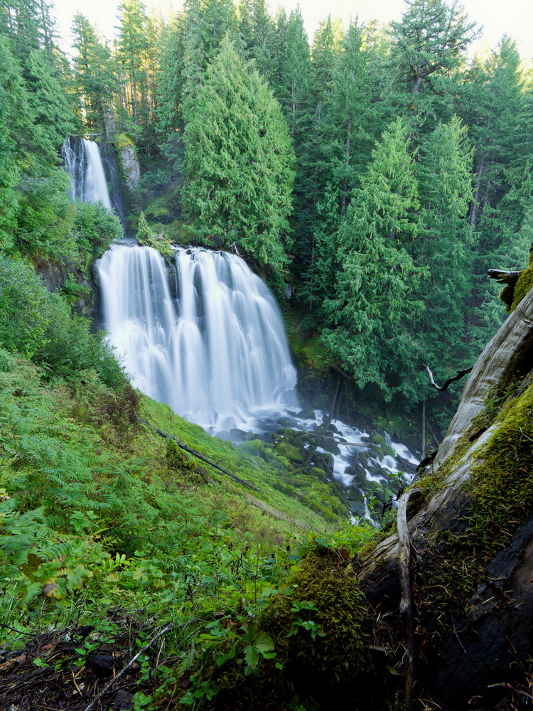 Above: Marrion and Gatch Falls