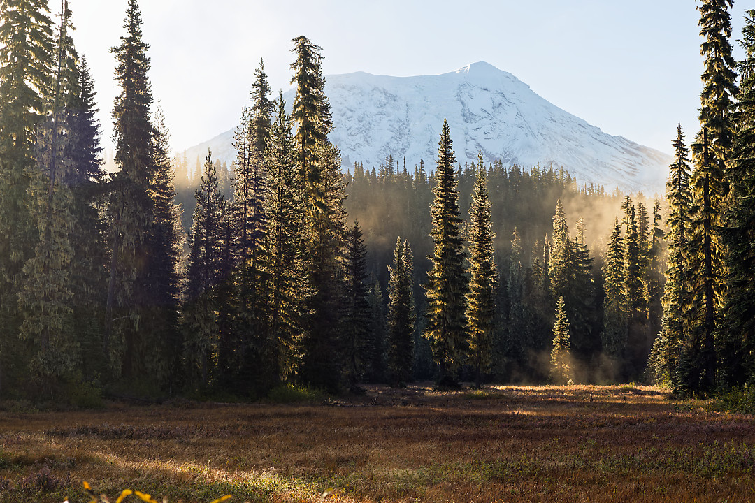 Above: Adams, a meadow and fog in warm early morning sunlight.