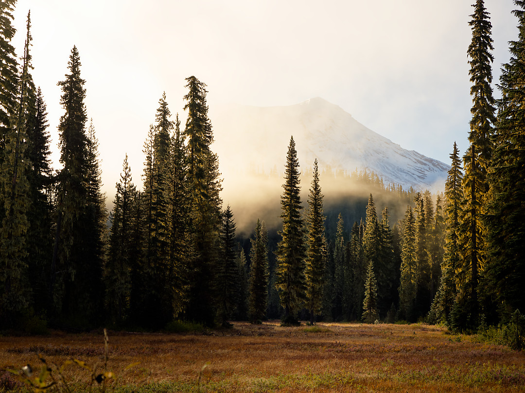 Above: Fast moving fog quickly shrouded the mountain within a minute.