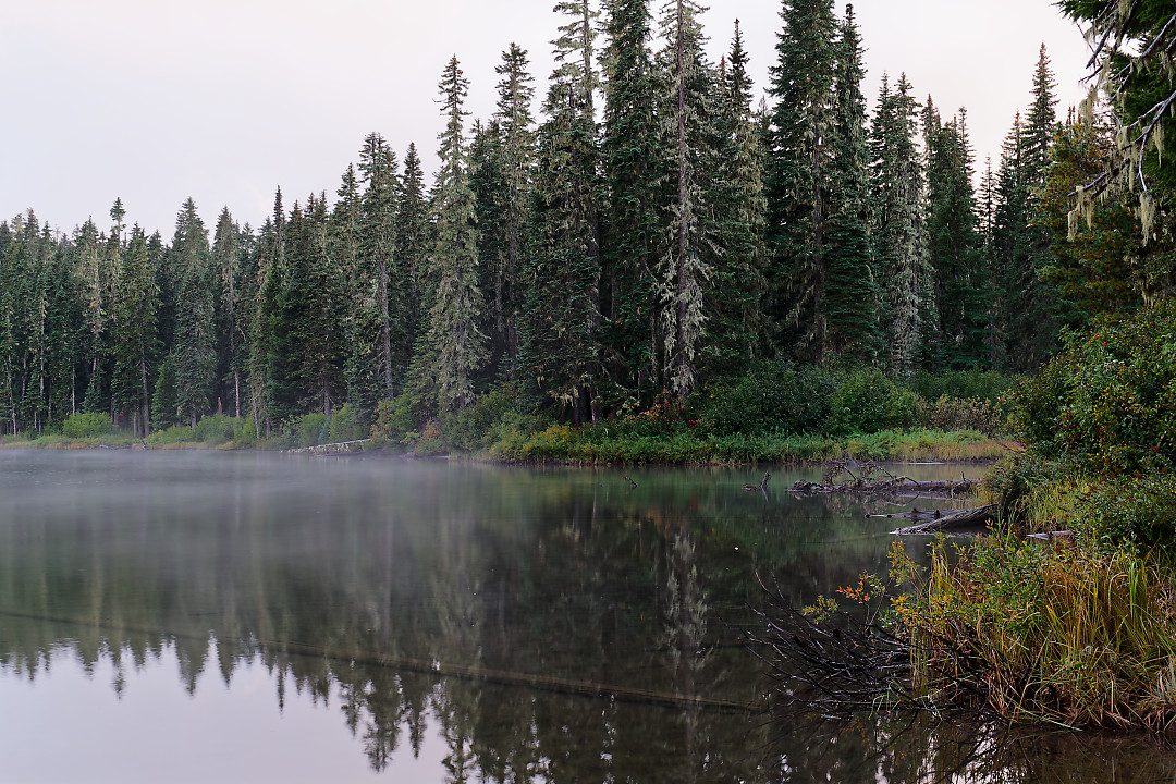 Above: Fog floating across the surface of Takhlakh Lake