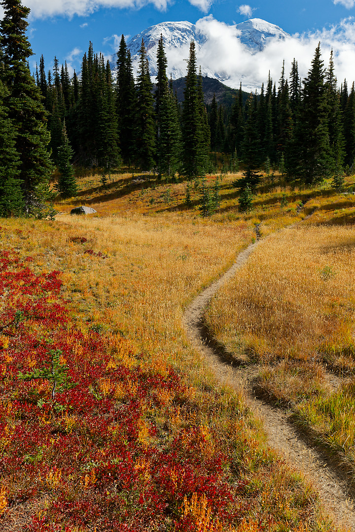 Above: Another area in the More Meadow Mountain Views.