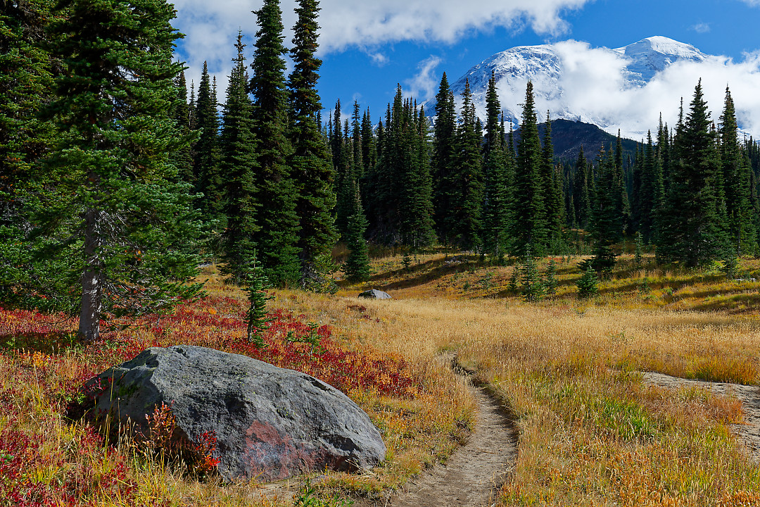 Above: Second Meadow on the Killen Creek Trail.