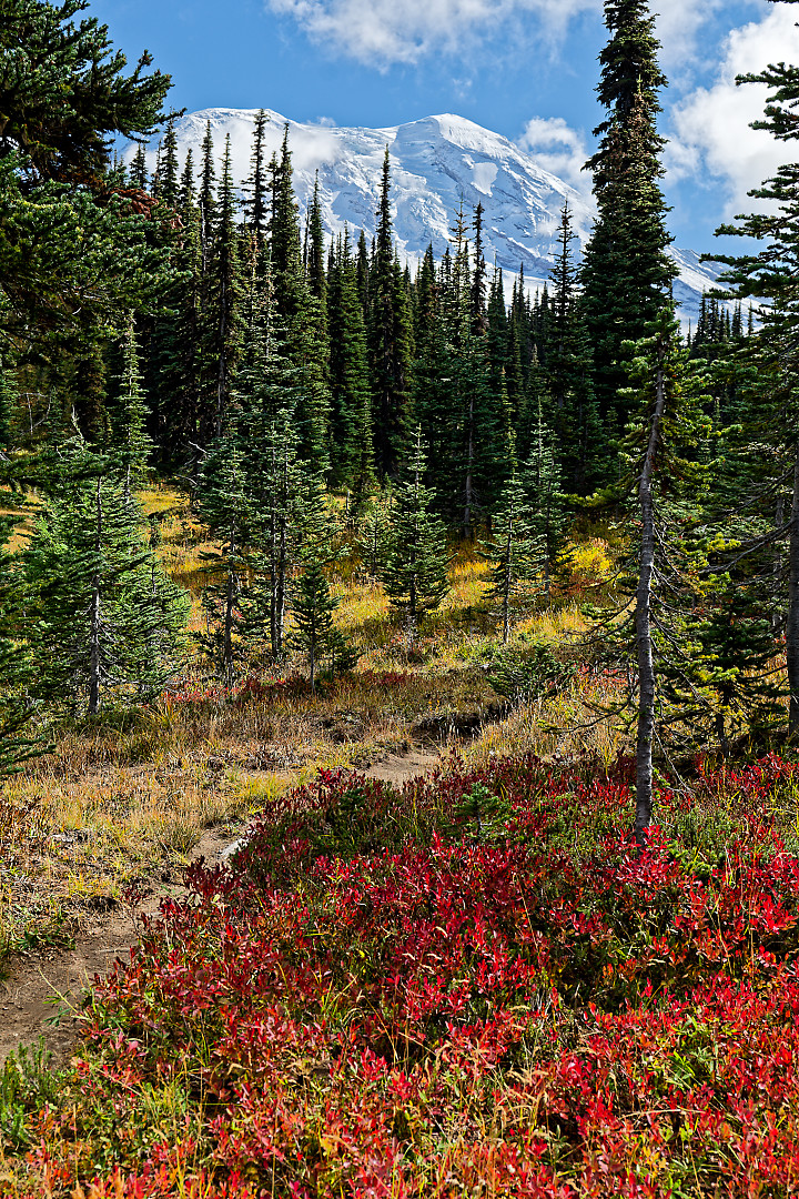Above: More Meadow Mountain Views.