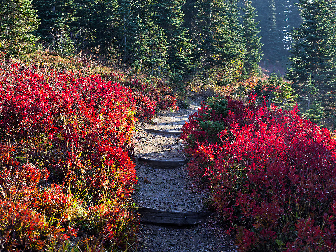 Above: Intense Fall color along parts of the trail.