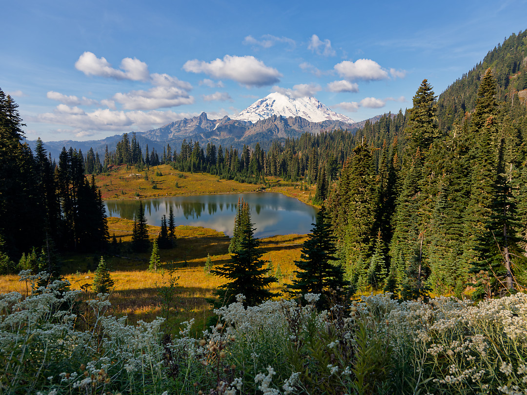 Above: Final mid morning view of Tipsoo and Rainier.