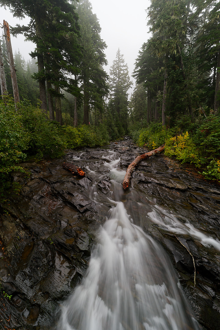 Above:  Paradise River.