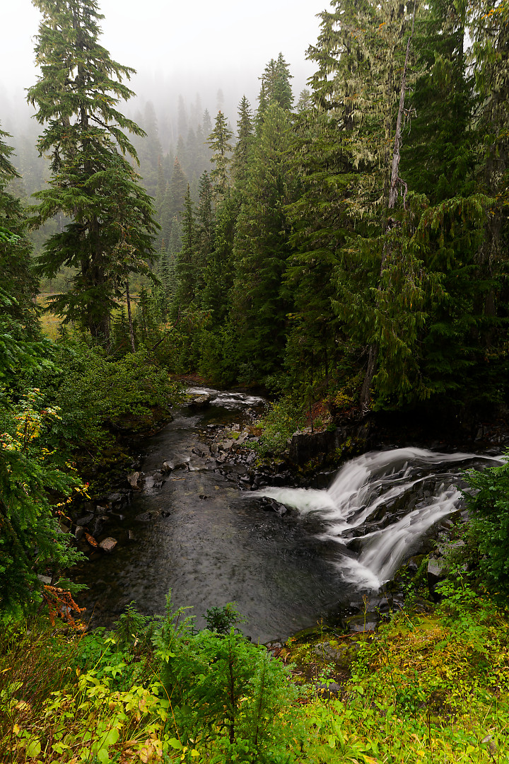 Above: Washington Cascades on the Paradise River