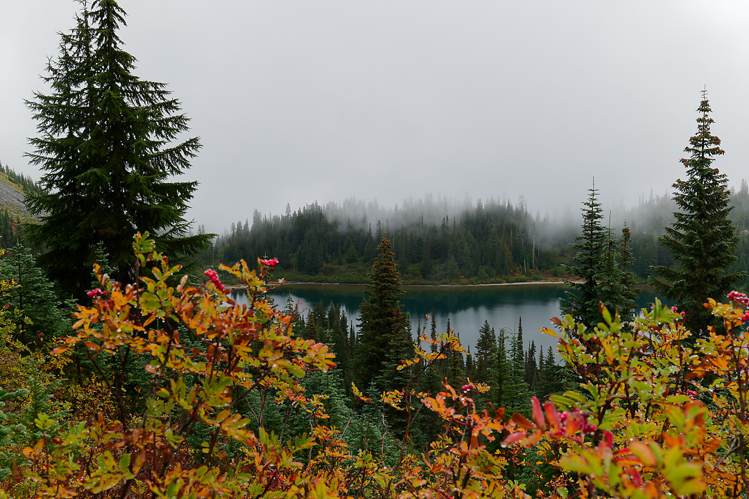 Above:  Fall color above Louise Lake .