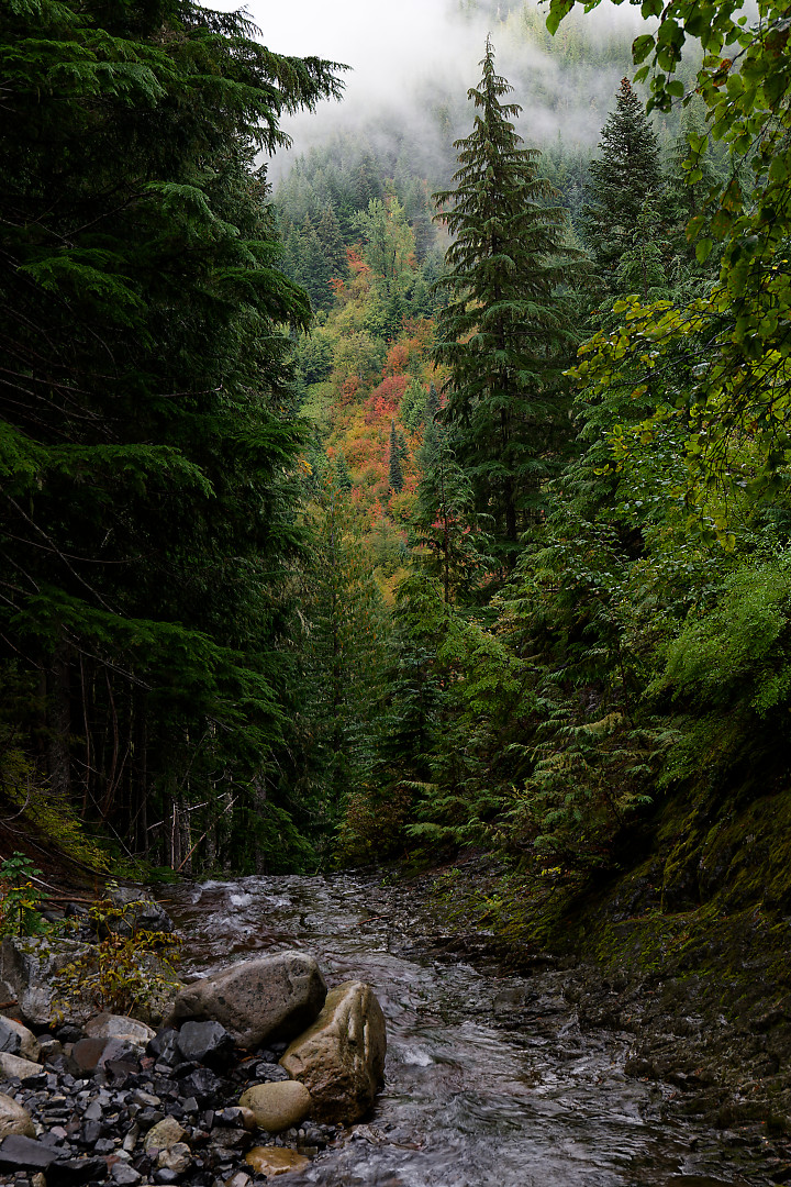 Above:  Fall color above Unicorn Creek .