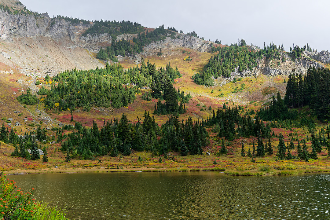 Above: Slopes of Naches covered in Autumn Color.
