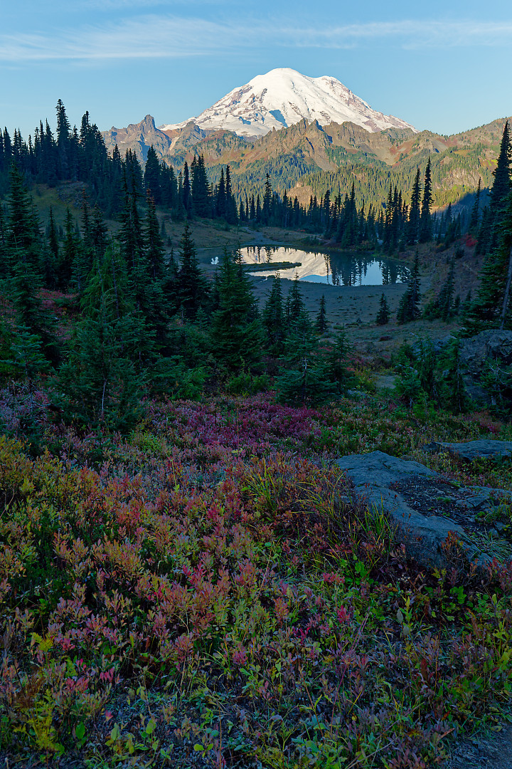 Above: Frost tipped fall foliage above Upper Tipsoo.