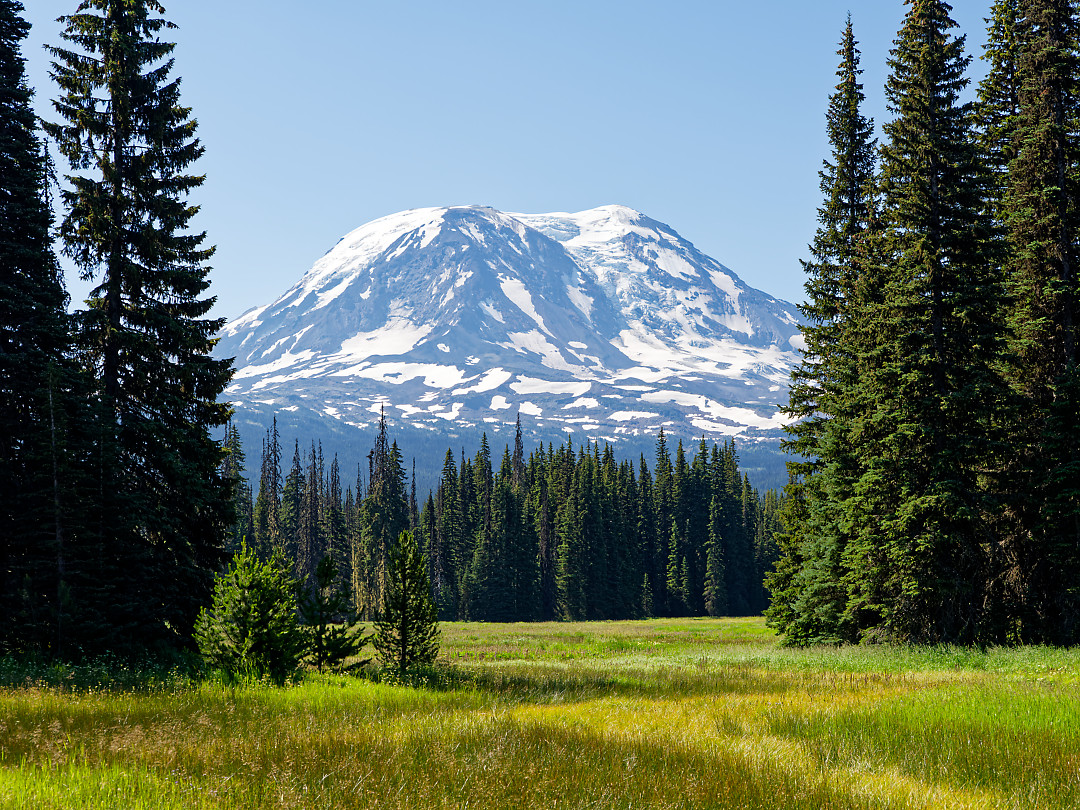 Above: Adams looming over Muddy Meadows.