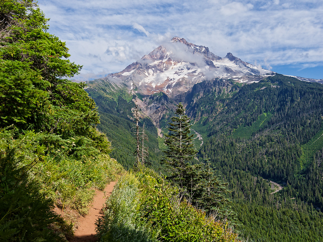 Above: Mount Hood looming above the trail around Bald Mountain.