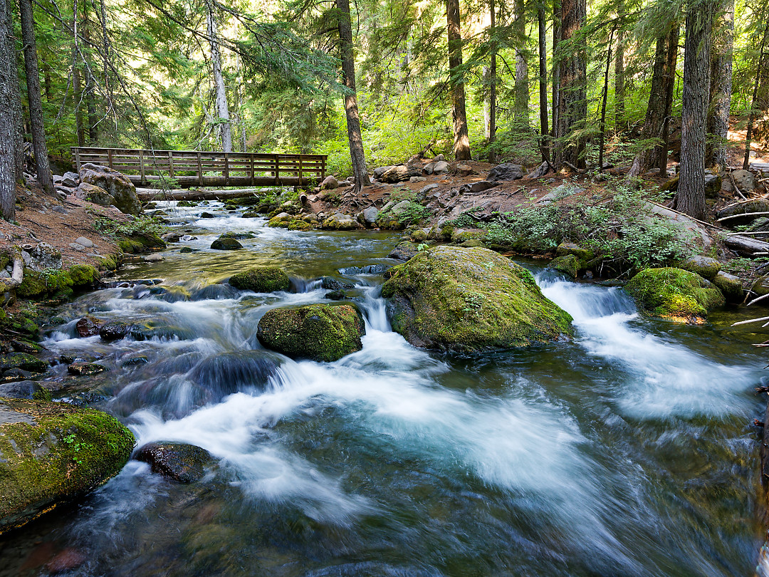 Above: Cold Spring Creek on the East slops of Mt Hood.