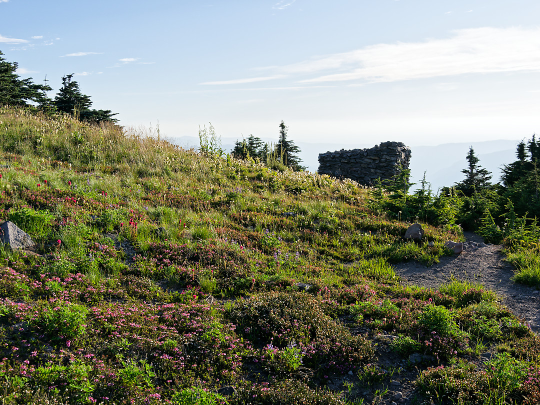 Above: McNeil Point on Mt Hood with wildflowers.