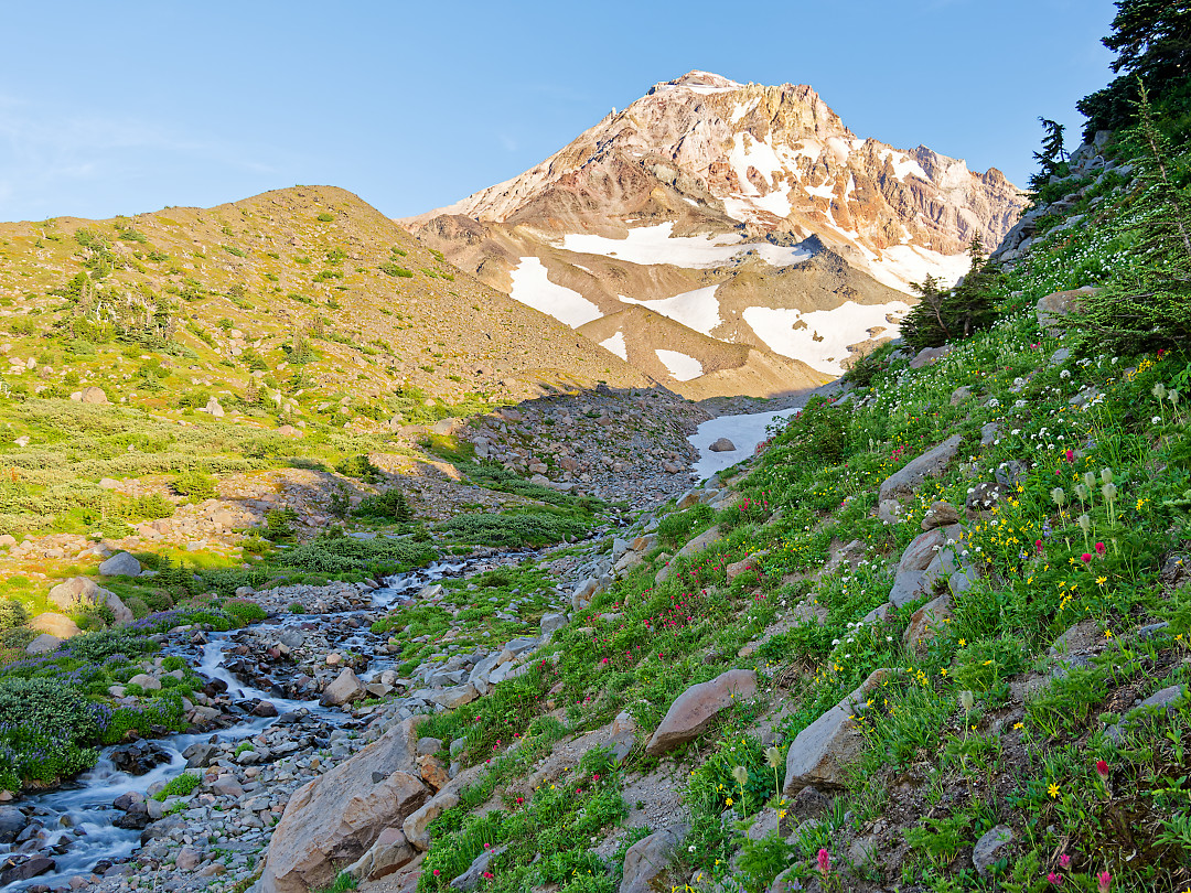 Above: Glacial stream on the upper slopes of mount hood around 6k feet. This was the end of July past peak wildflower season, but there were still lots of flowers out.