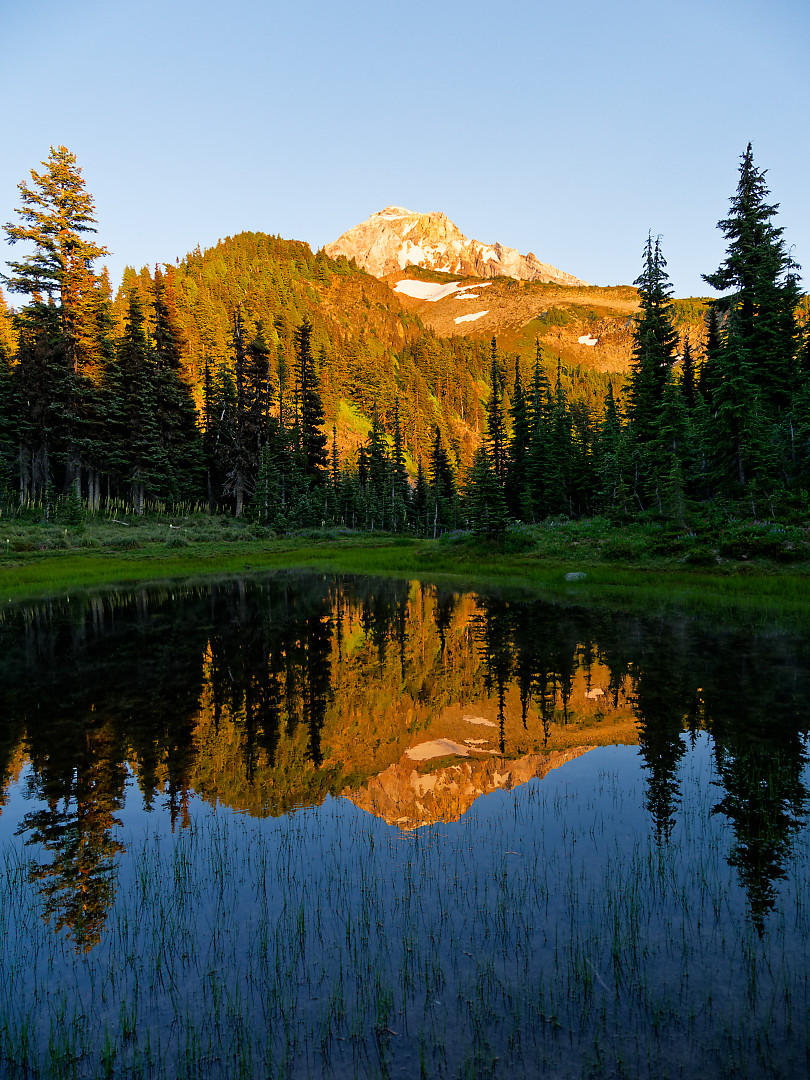 Above: Hood viewed from a Tarn just below McNeil Point.