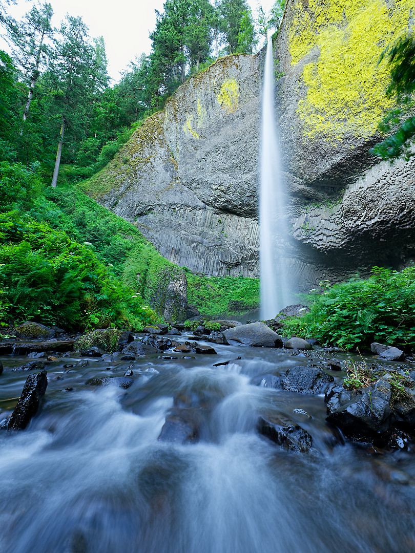 Above: Latourell Falls is one of my favorite, but I think this is my first time captuing it in Summer.