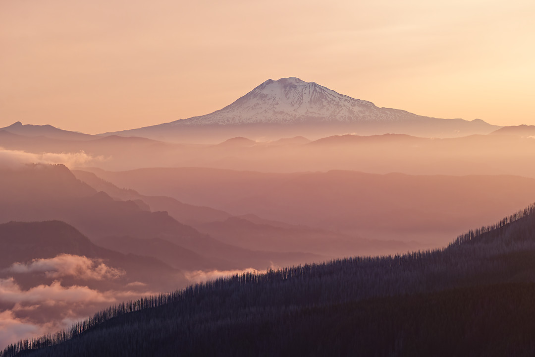 Above: Adams at sunrise from Takhlakh.