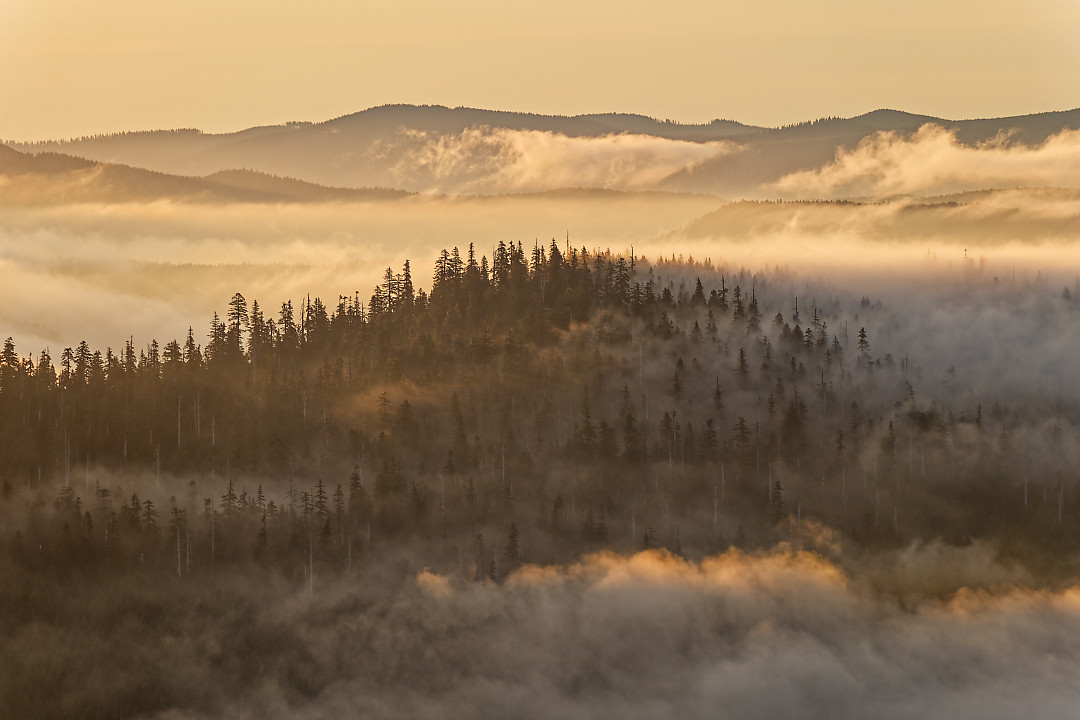 Above: Foothills of Mount Hood shrouded in fog catching the sunrise light.