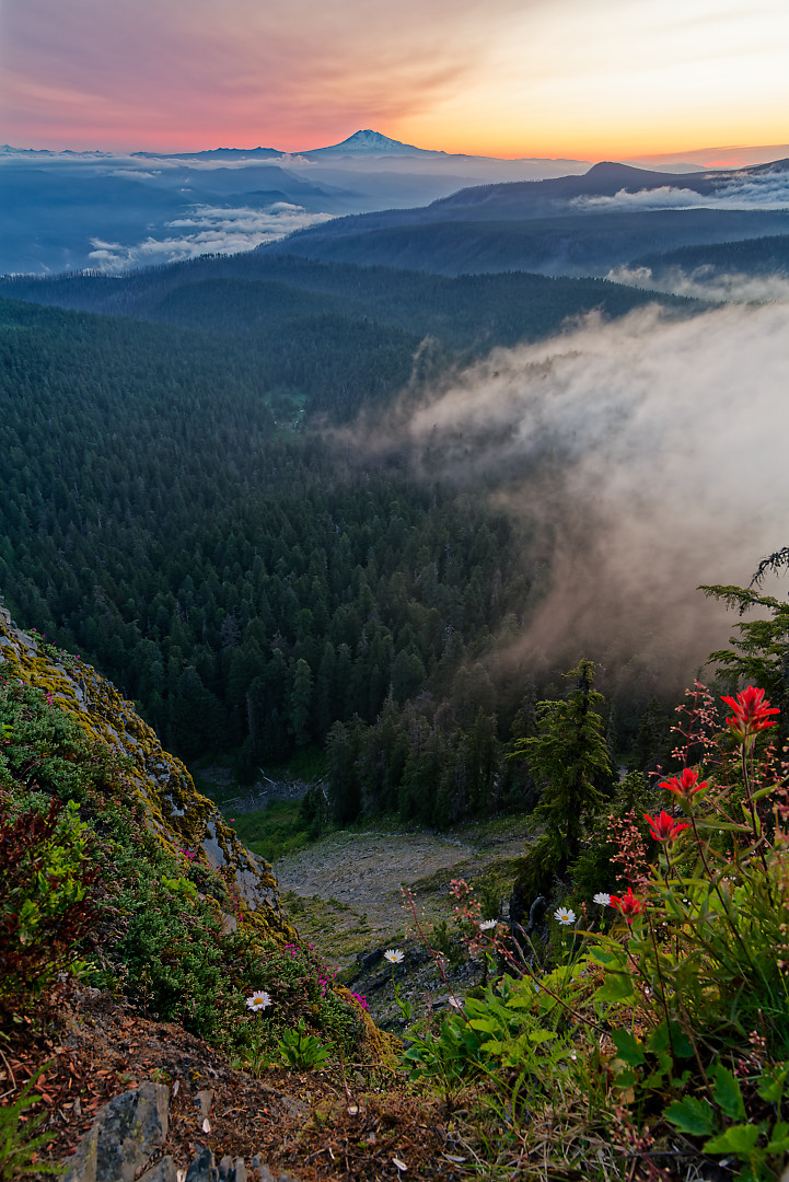 Above: Mount Adams in the distance. Captured on Father’s Day from Larch Mountain.