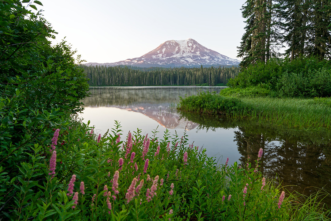 Above: Adams at sunrise from Takhlakh.