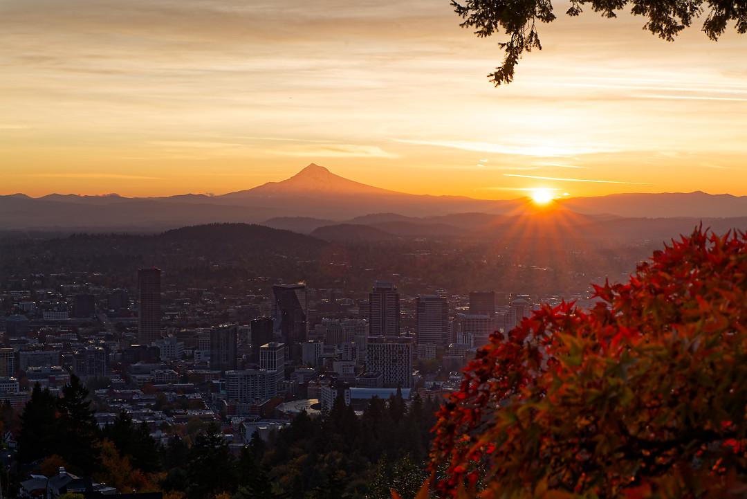 Above: Slightly different framing versus the previous one, had trouble picking which i liked more.