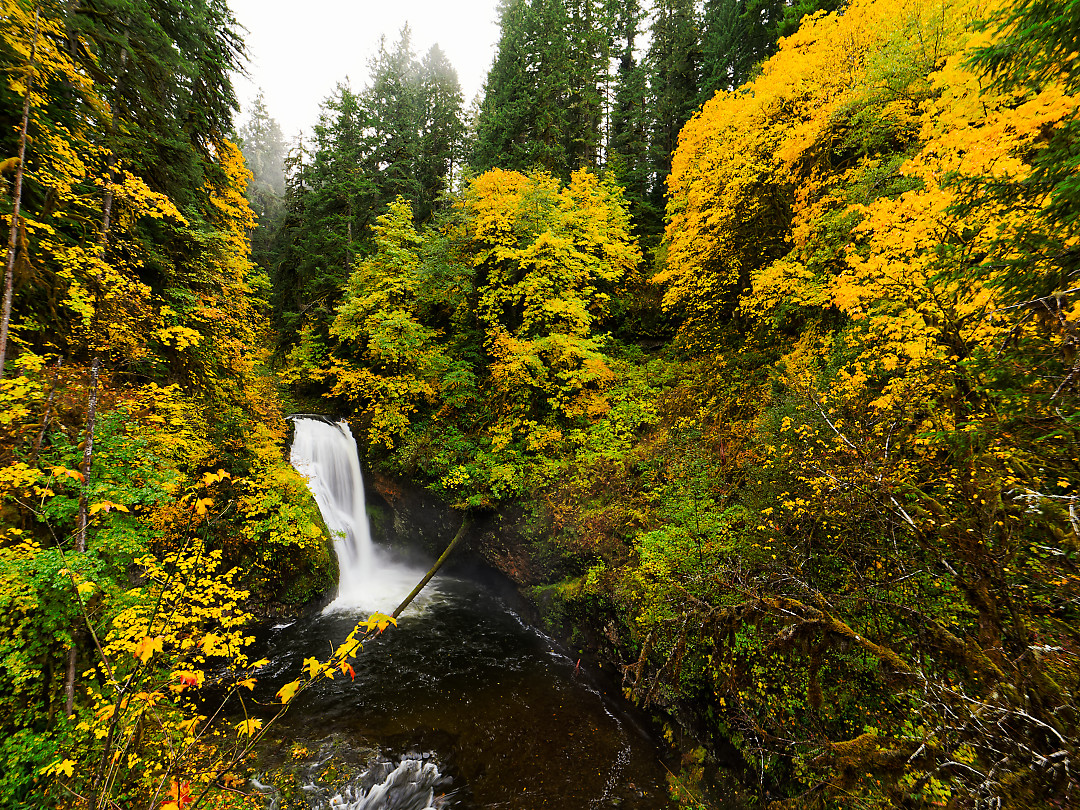 Above: Lower Butte Creek Falls