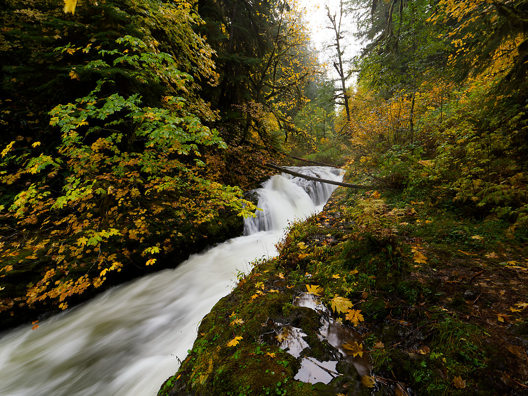 Above: Small cascade along Butte Creek