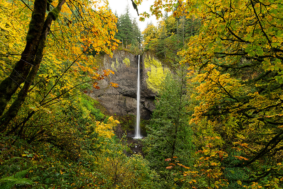 Above: Latourell Falls