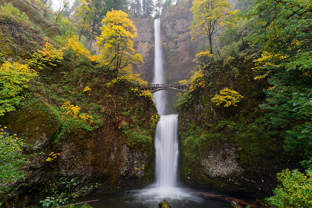 Above: Multnomah Falls