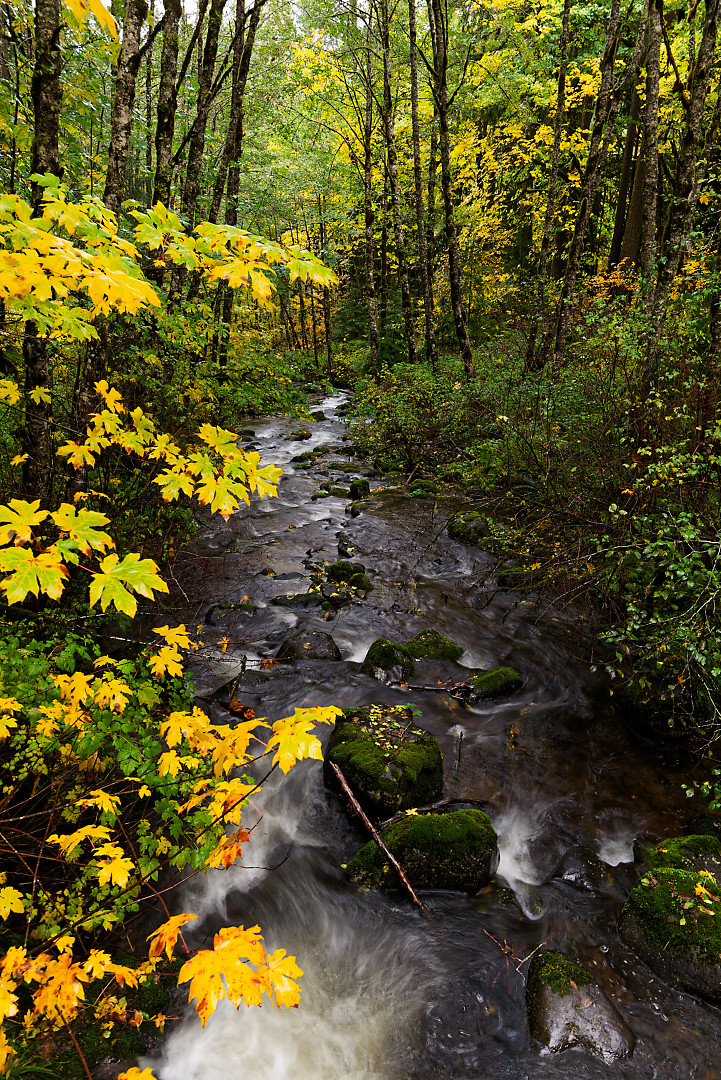 Above: Butte Creek