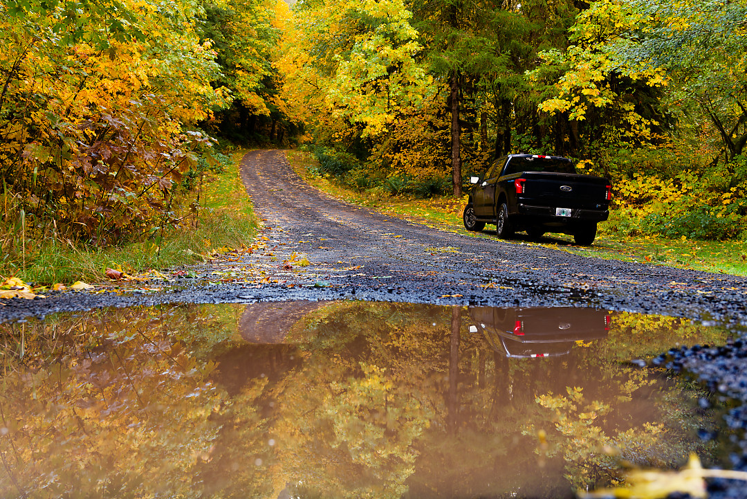 Above: Another Forest Service Road near Butte Creek