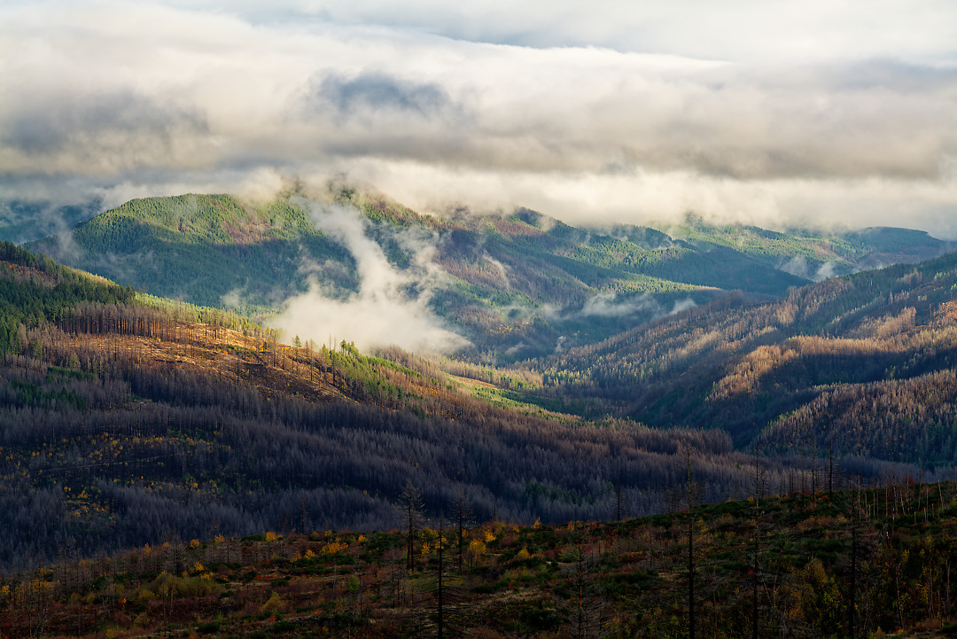 Above: Looking deeper into the Cascades from Family Camp Road.